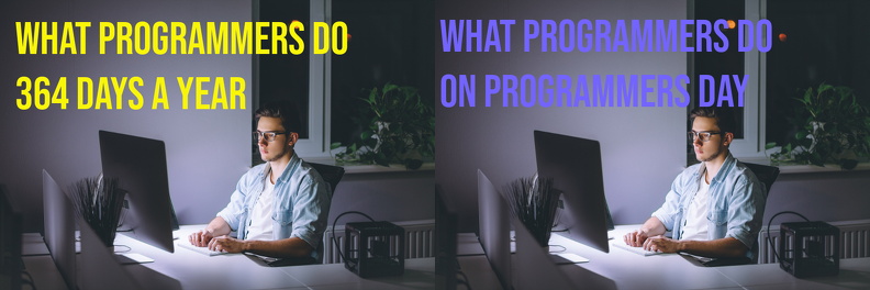 programmer-day.jpg