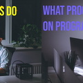 programmer-day