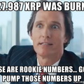 1327987-xrp-was-burned-those-are-rookie-numbers-gotta-pump-those-numbers-up