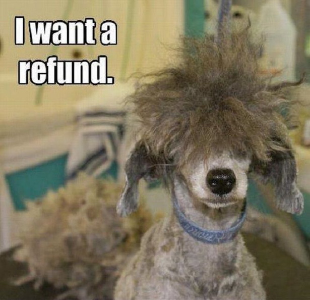 Worst-Dog-Haircuts-refund-592ecab03df78cbe7ec79151
