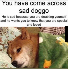 sad-doggo